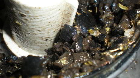 оливковая брускетта