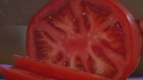 бургеры с котлетками из тунца и авокадо