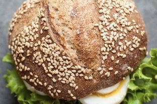 Гамбургер дома