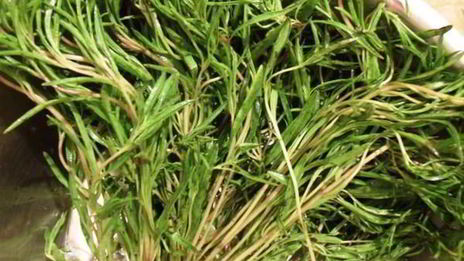 чахракули — закуска из вешенок