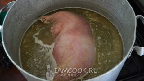 фаршированный свиной желудок