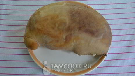 фаршированный свиной желудок