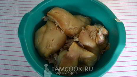 фаршированный свиной желудок