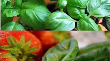 гренки с хамоном и клубникой