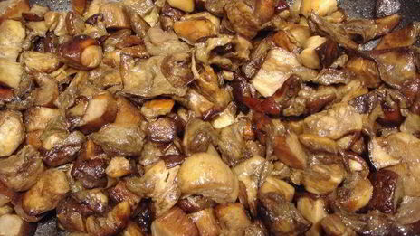 икра из белых грибов