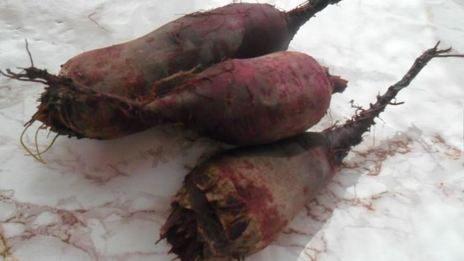 кабачковая икра со свеклой