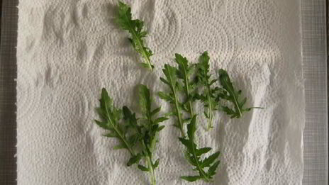 канапе с подкопченной неркой и творожным сыром