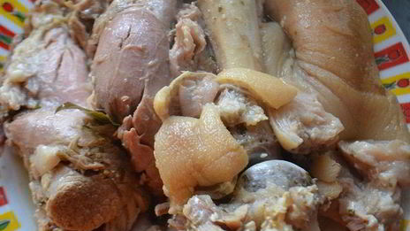 холодец солнечный цветок