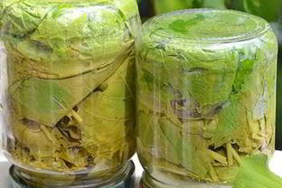 Маринованные виноградные листья для долмы