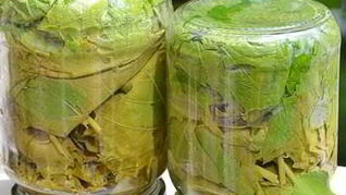 Маринованные виноградные листья для долмы