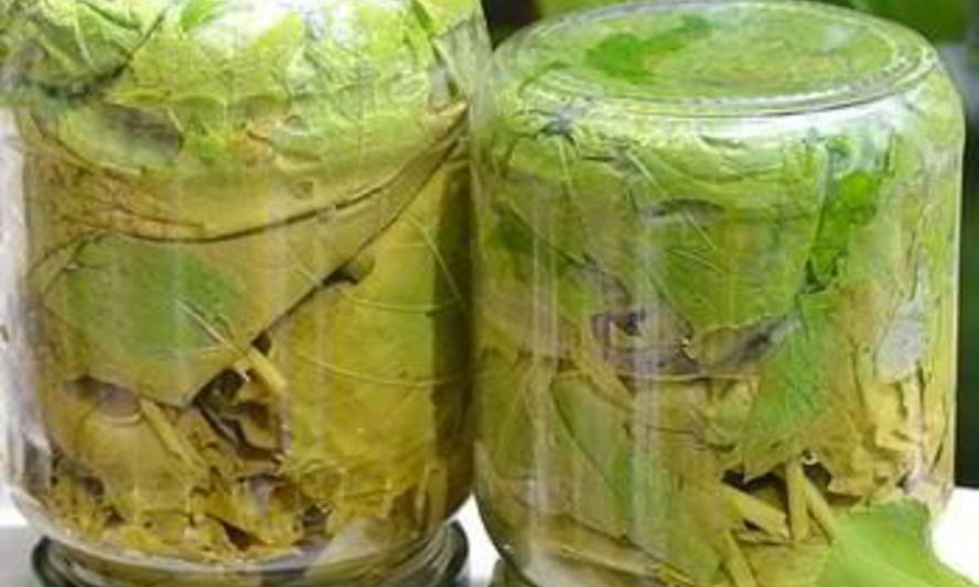 Рецепт маринованных виноградных листьев для долмы