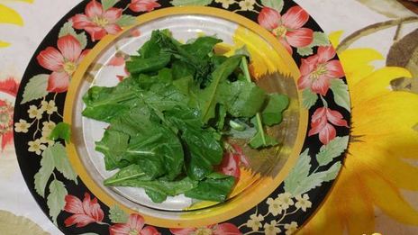 омлет с креветками и грибами на подушке из рукколы