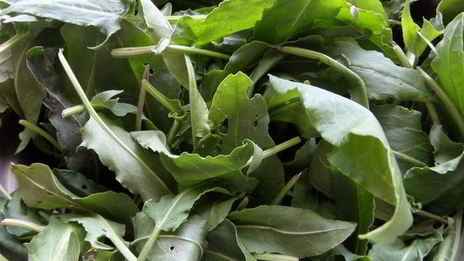 омлет со щавелем