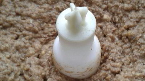 паштет из чечевицы с кешью и черносливом