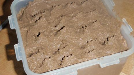 паштет из говяжьей печени