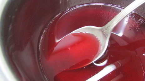 паштет из куриной печени с коньяком и гранатовым желе