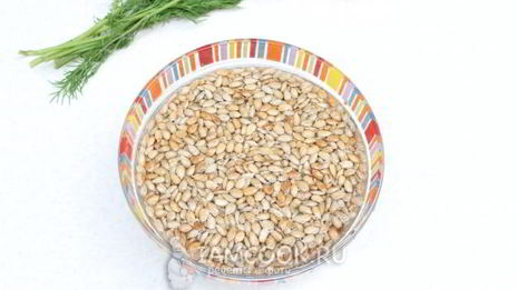 паштет из семян подсолнуха