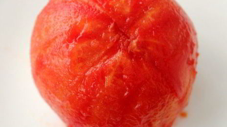 паштет из сыра и томатов