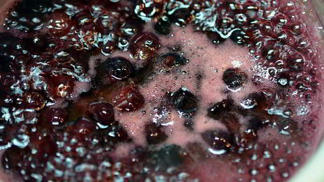 печеночный паштет со смородиновым желе