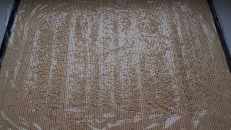 роллы из творога с фруктами