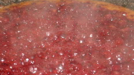 спринг-роллы