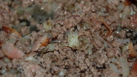 мясной рулет с беконом и тмином