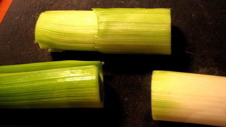 рулетики-букетики под сыром джюгас