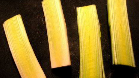 рулетики-букетики под сыром джюгас