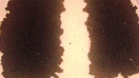 творожный рулет с маком