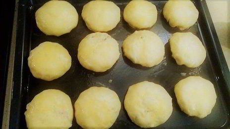 самса азиатская