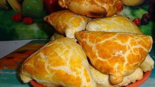 Самса домашняя