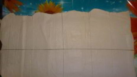 самса домашняя