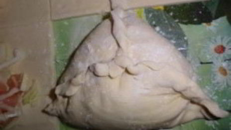 самса домашняя