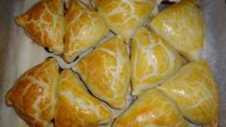 самса домашняя