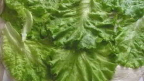 шаурма в лаваше с курицей