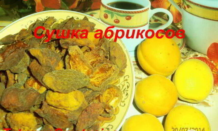 Рецепт сушки абрикосов в электросушилке