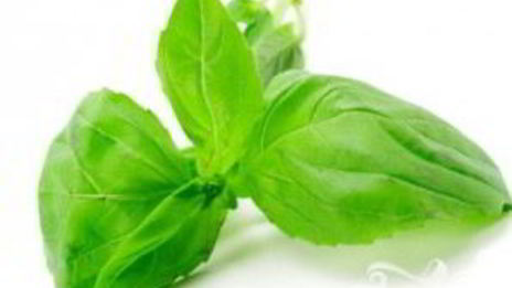 румяный сэндвич с помидором