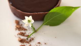 Шоколадные тарталетки с шоколадно-кофейным кремом