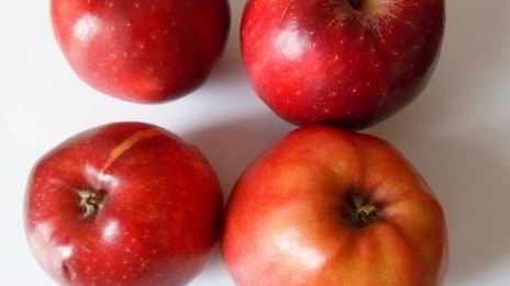 тарталетки с яблоками, орехами и крем-фрешем