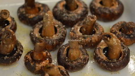 грибы бар тартине