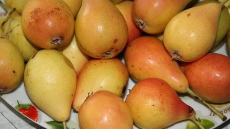 грушевый тарт с заварным кремом и абрикосовыми косточками