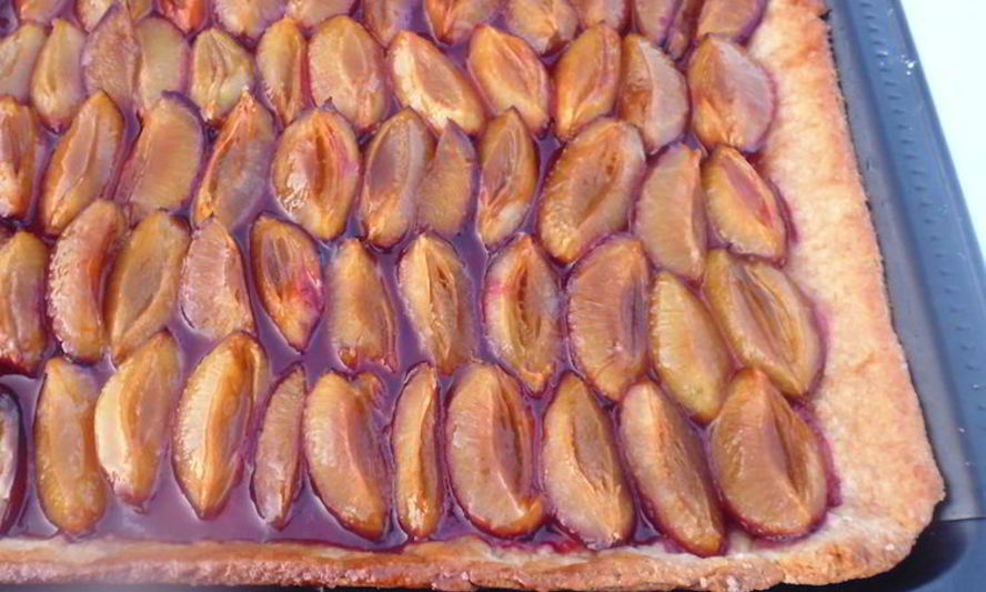 Рецепт сливового тарта на творожном тесте