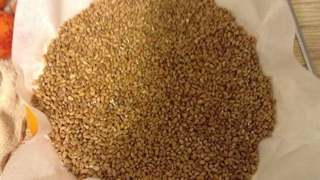 тарт с абрикосами