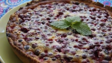 тарт с брусникой и запеченным ганашем из белого шоколада