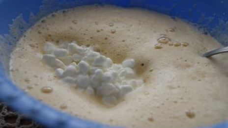 тарт с зерненым творогом и медом