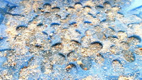 яблочно-грушевый тарт татен