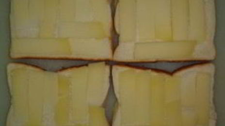 тосты с сыром и грибами