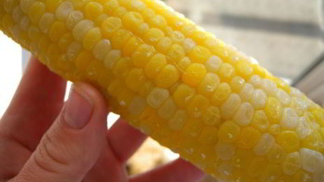 веселые яичницы