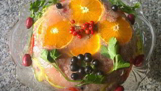 Праздничное заливное из утки с брусникой Утиная история