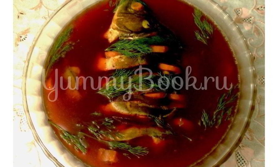 Рецепт заливного из карпа с буряком